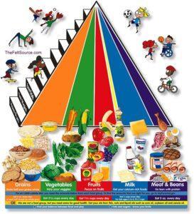 New-Food-Pyramid-Large