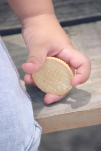 Disregolazione alimentare nei bambini